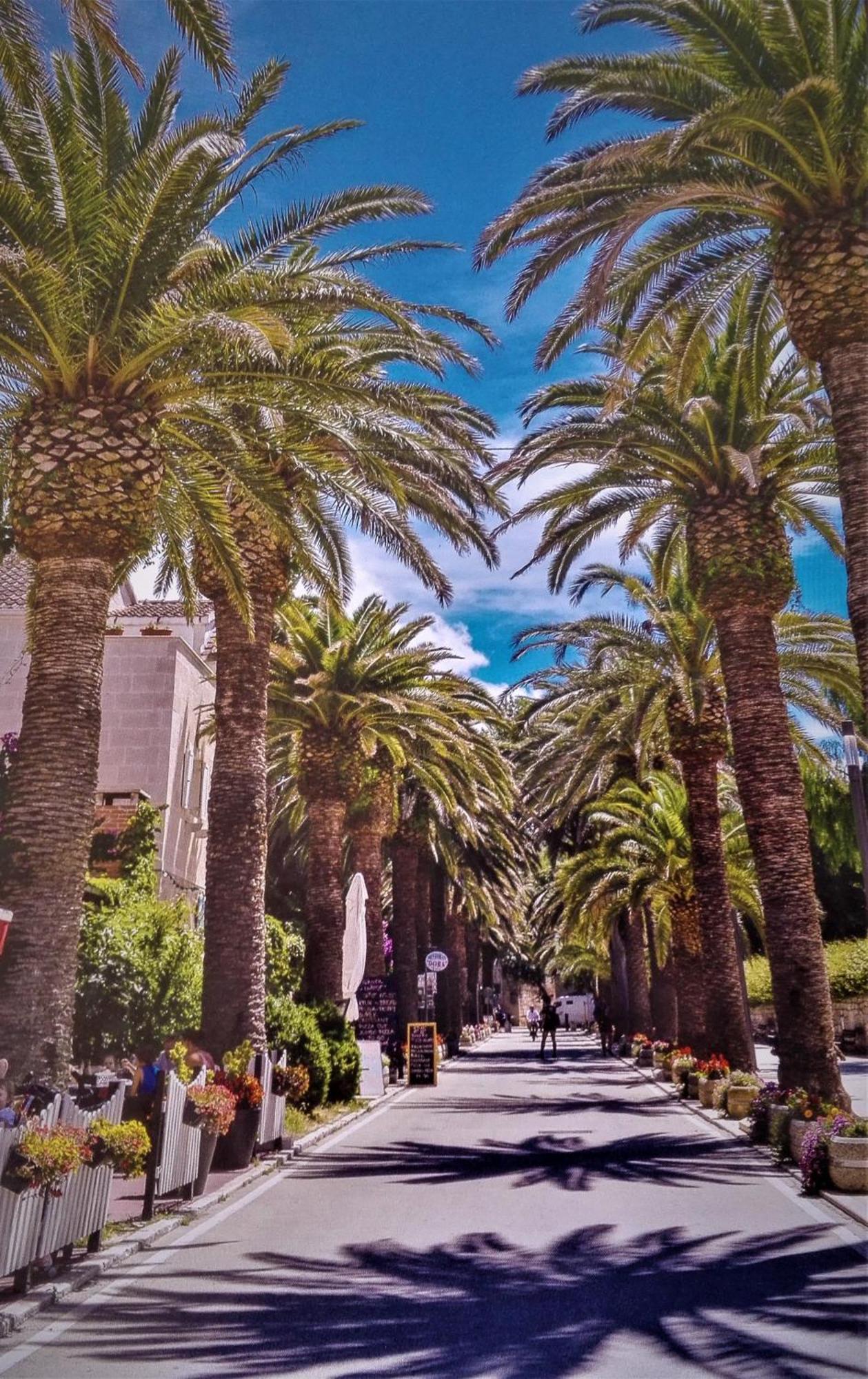 Apartments Marko Sutivan Insel Brac Dış mekan fotoğraf